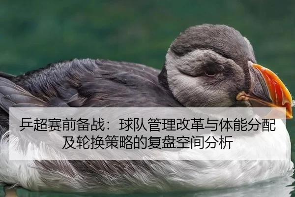 乒超赛前备战：球队管理改革与体能分配及轮换策略的复盘空间分析